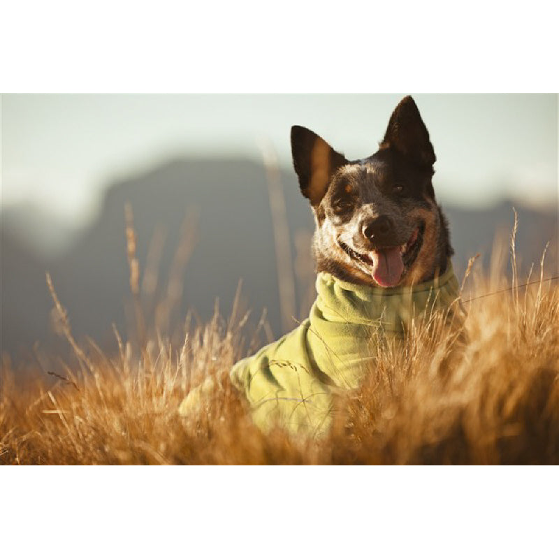 HURTTA Microfleece Overall für Hunde