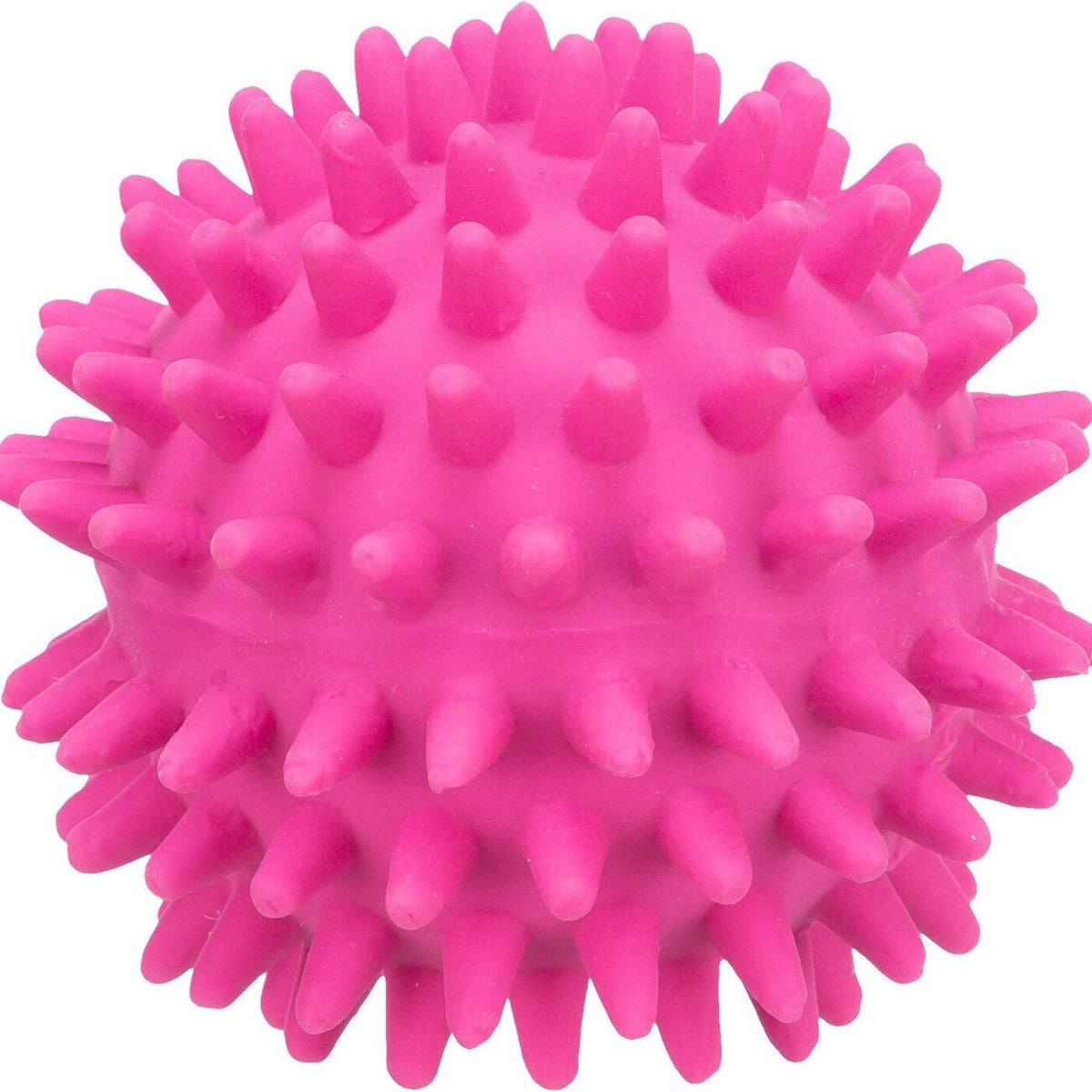 Igelball aus Latex für Hunde