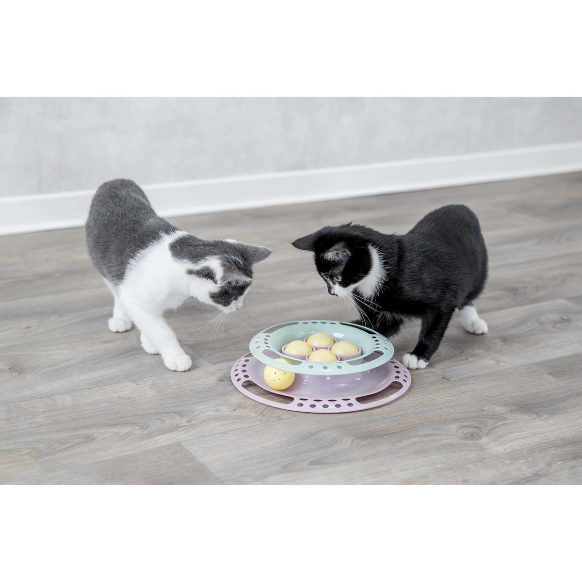 Junior Kitten Circle Katzenspielzeug