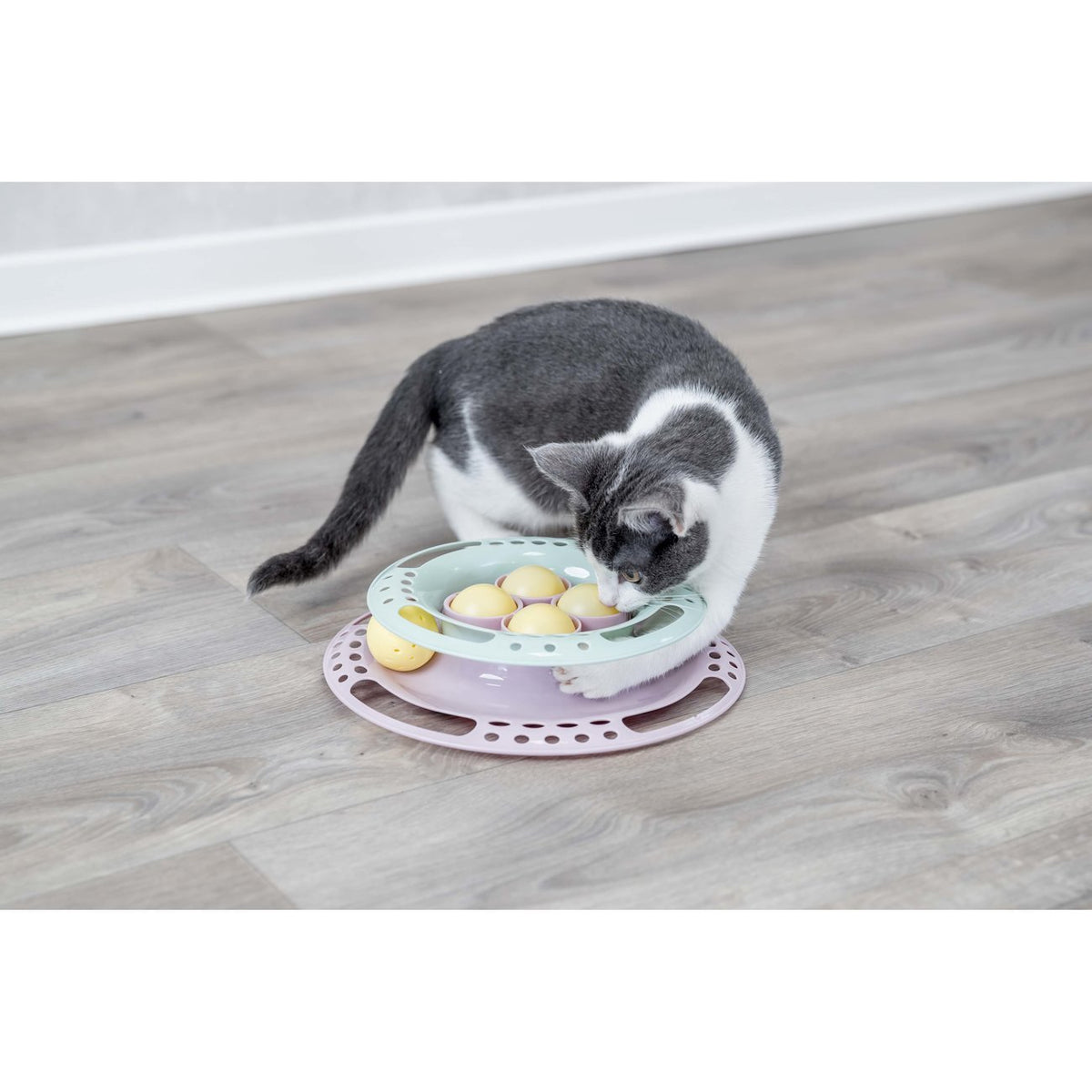 Junior Kitten Circle Katzenspielzeug