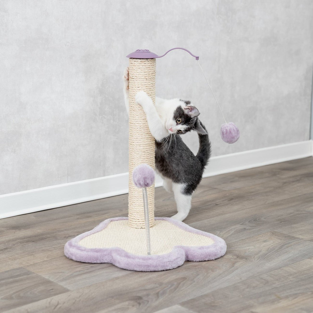 Junior Kratzpfote mit Stamm für Kitten
