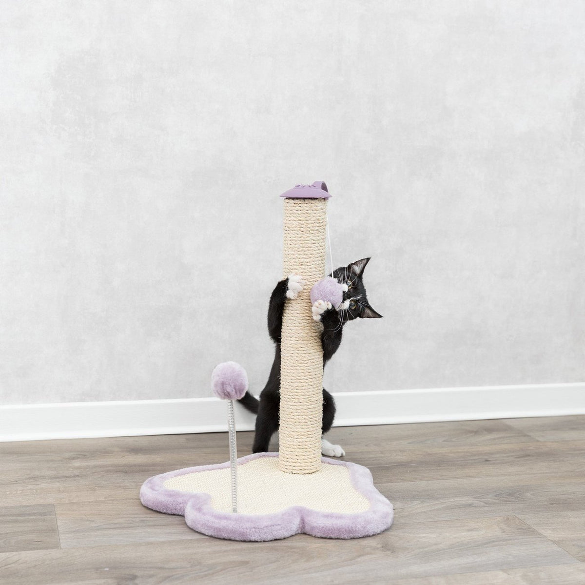 Junior Kratzpfote mit Stamm für Kitten