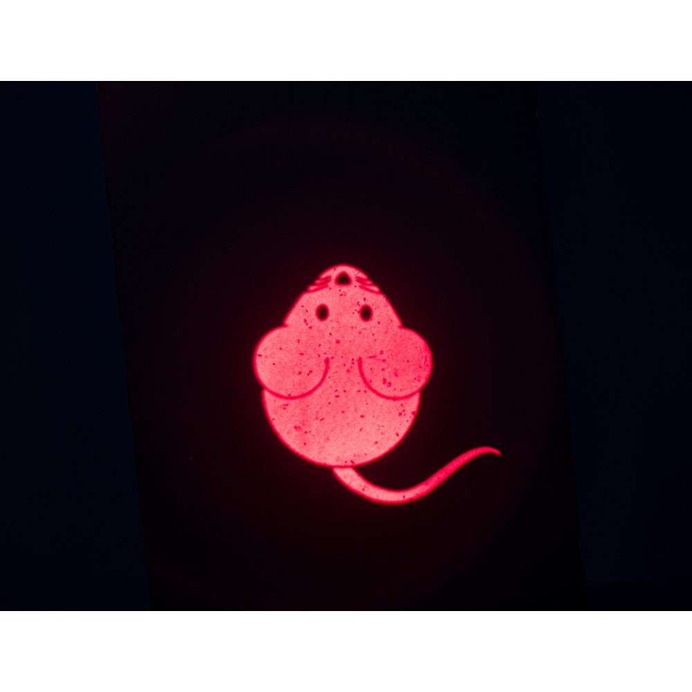 Katzen LED Pointer Catch the Light