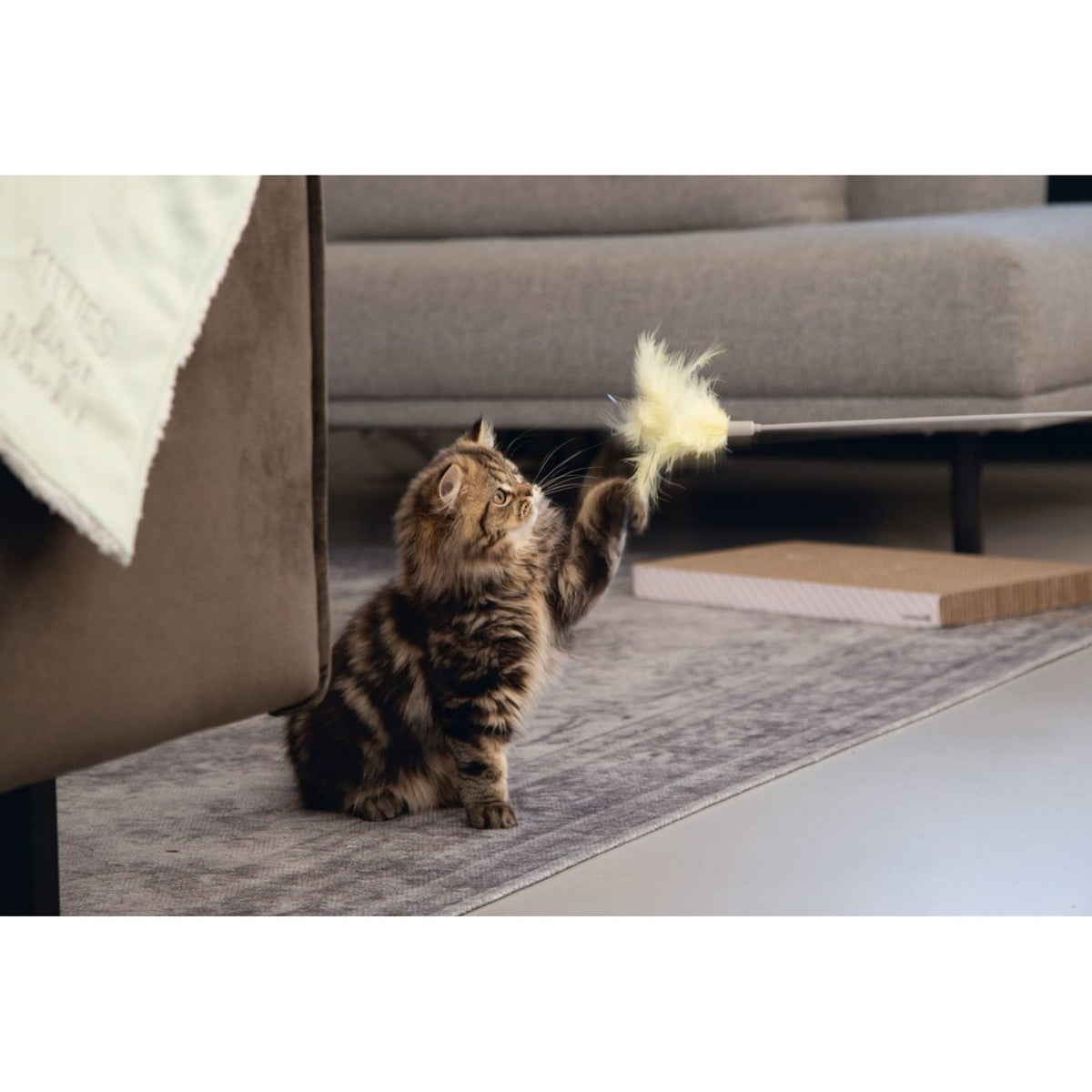 Katzenangel Orry