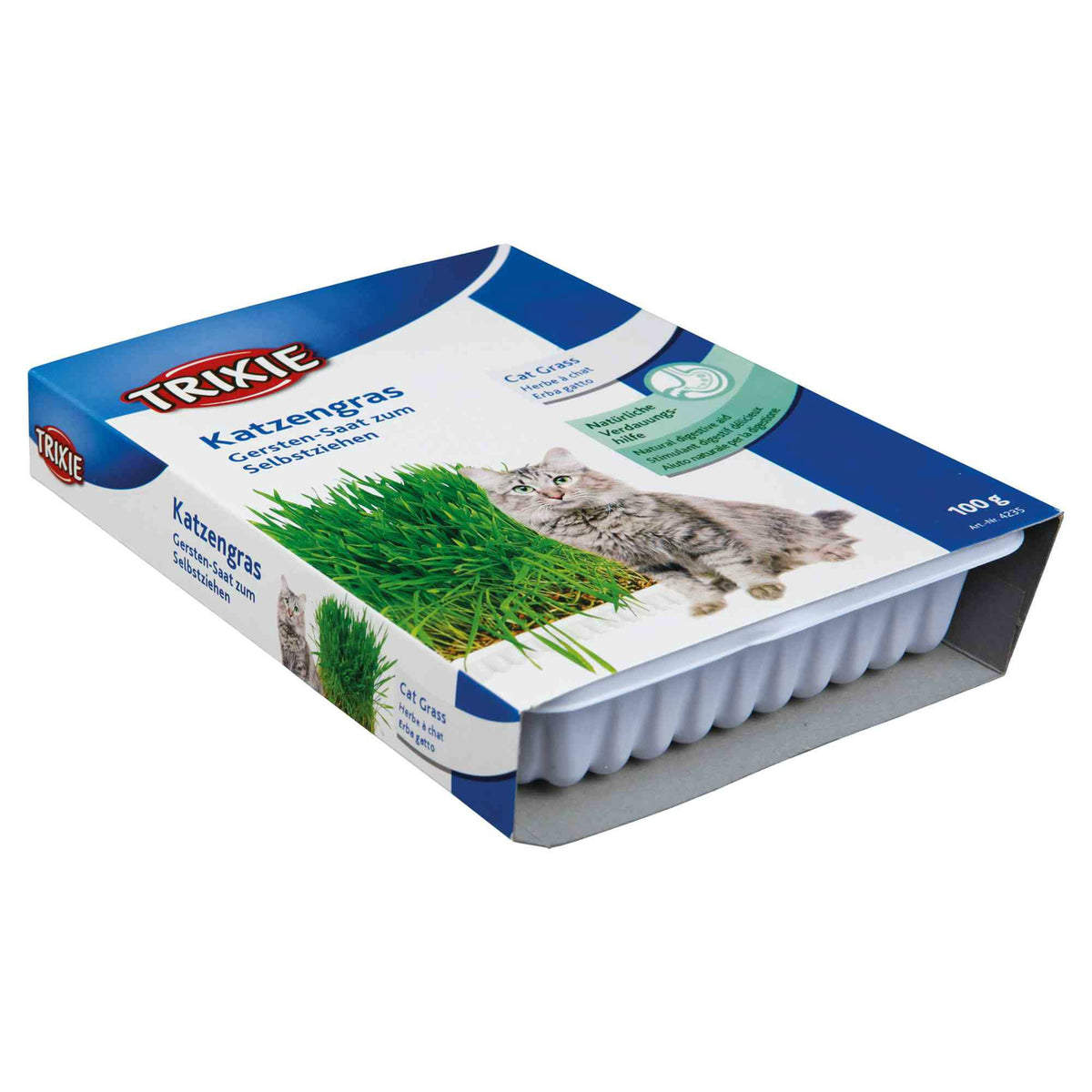 Katzengras