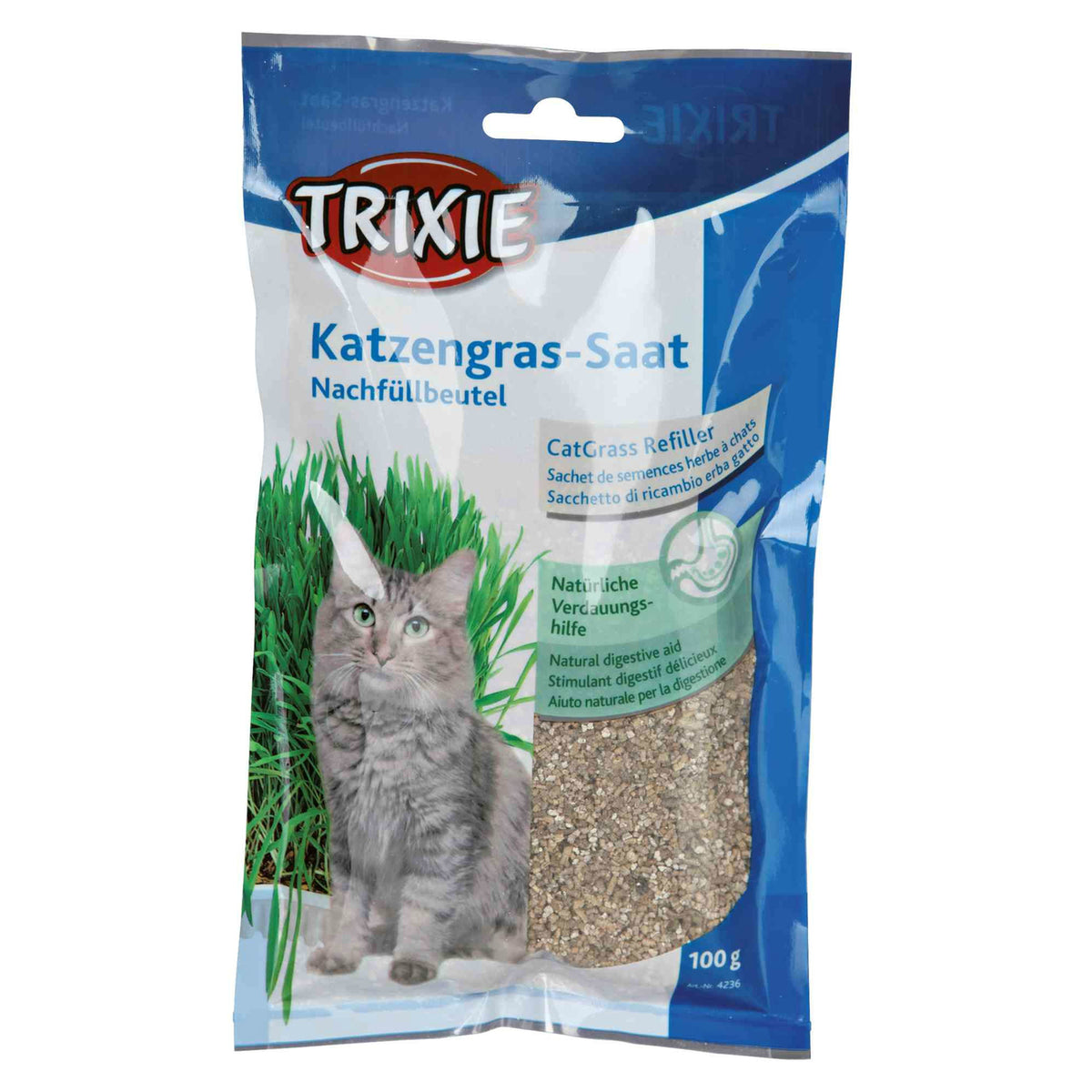 Katzengras
