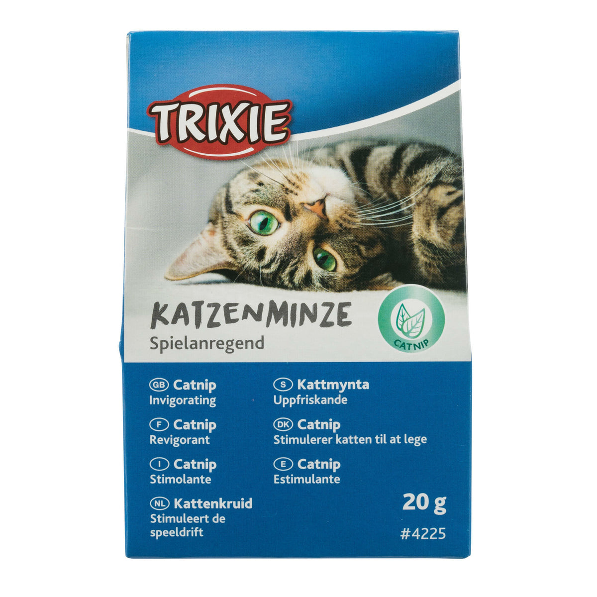 Katzenminze