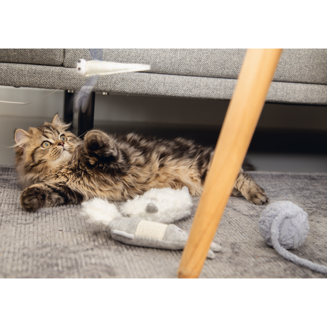 Katzenspielzeug Wollknäuel Isar