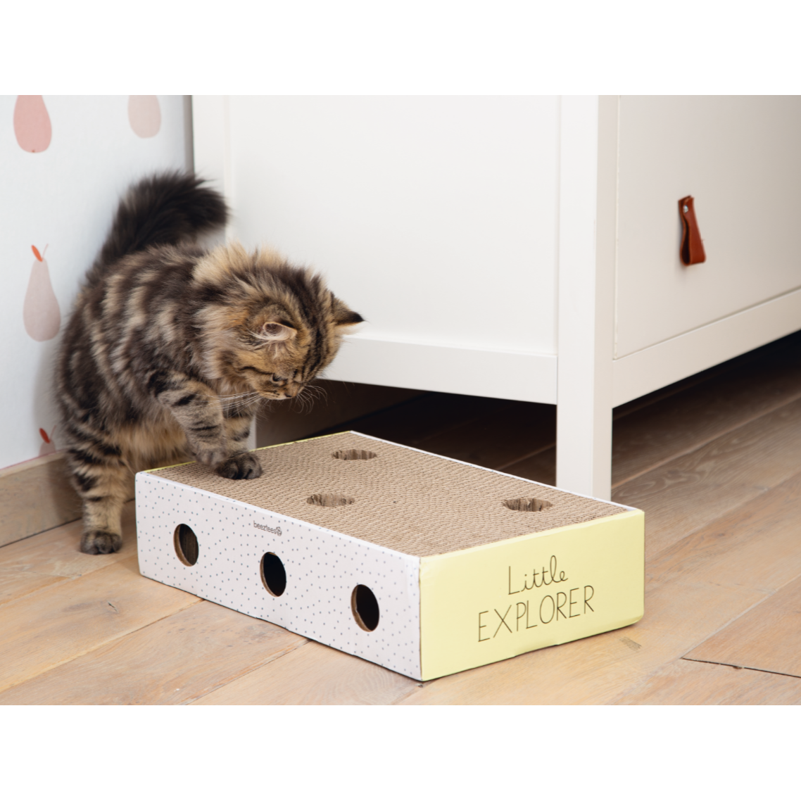 Kitten Kratzbox Riva