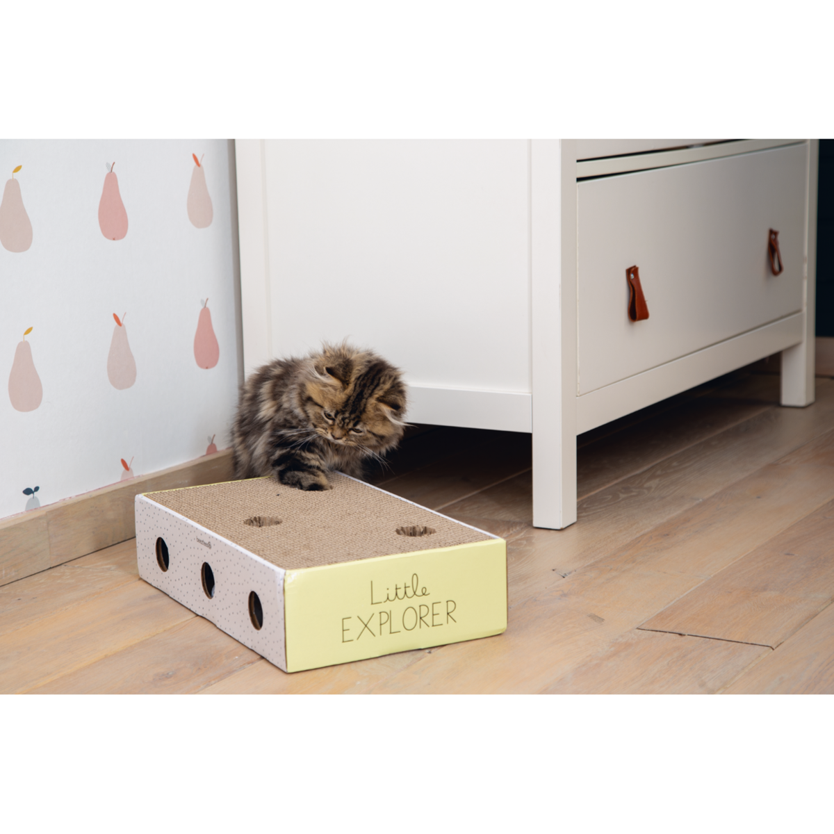 Kitten Kratzbox Riva