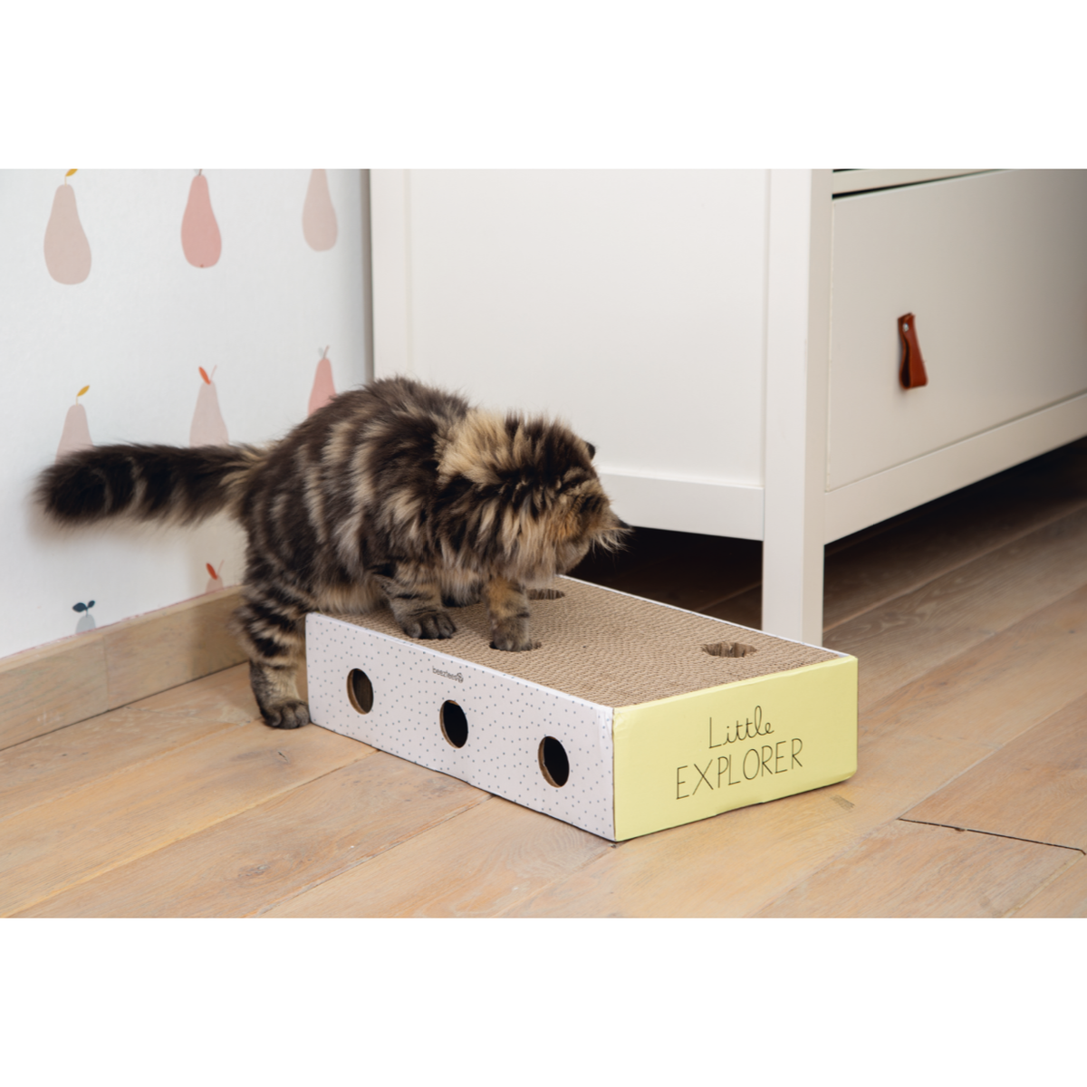 Kitten Kratzbox Riva