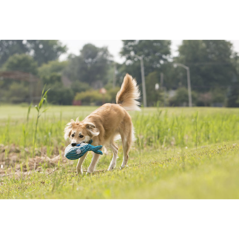 CuteSeas Hundespielzeug