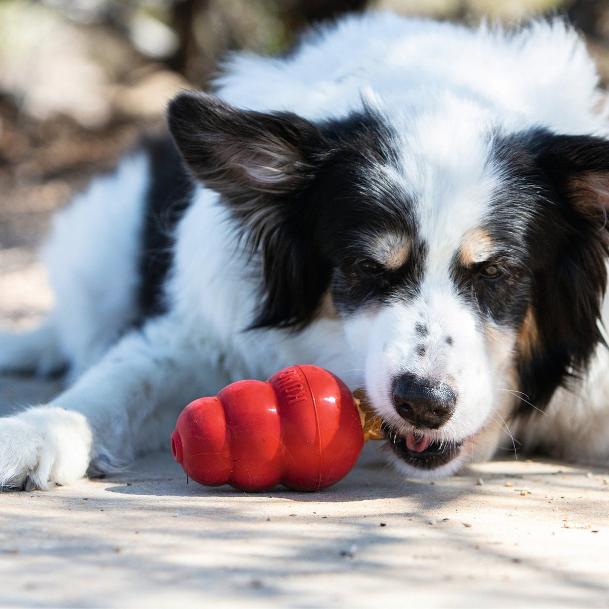 KONG Snacks Hundesnacks Hundekekse