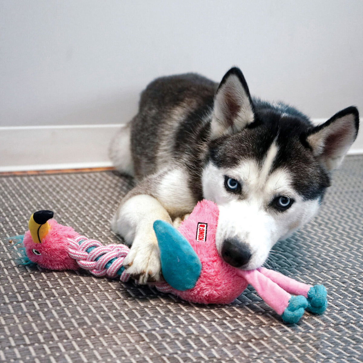 Hundespielzeug Knots Twists mit Tau