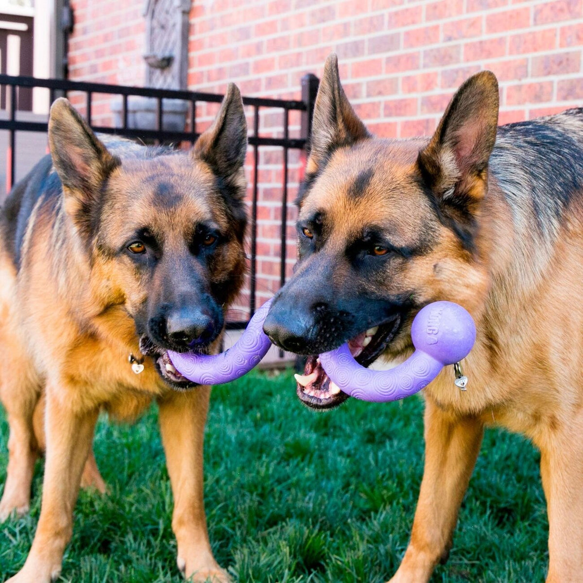 Hundespielzeug Ogee Stick