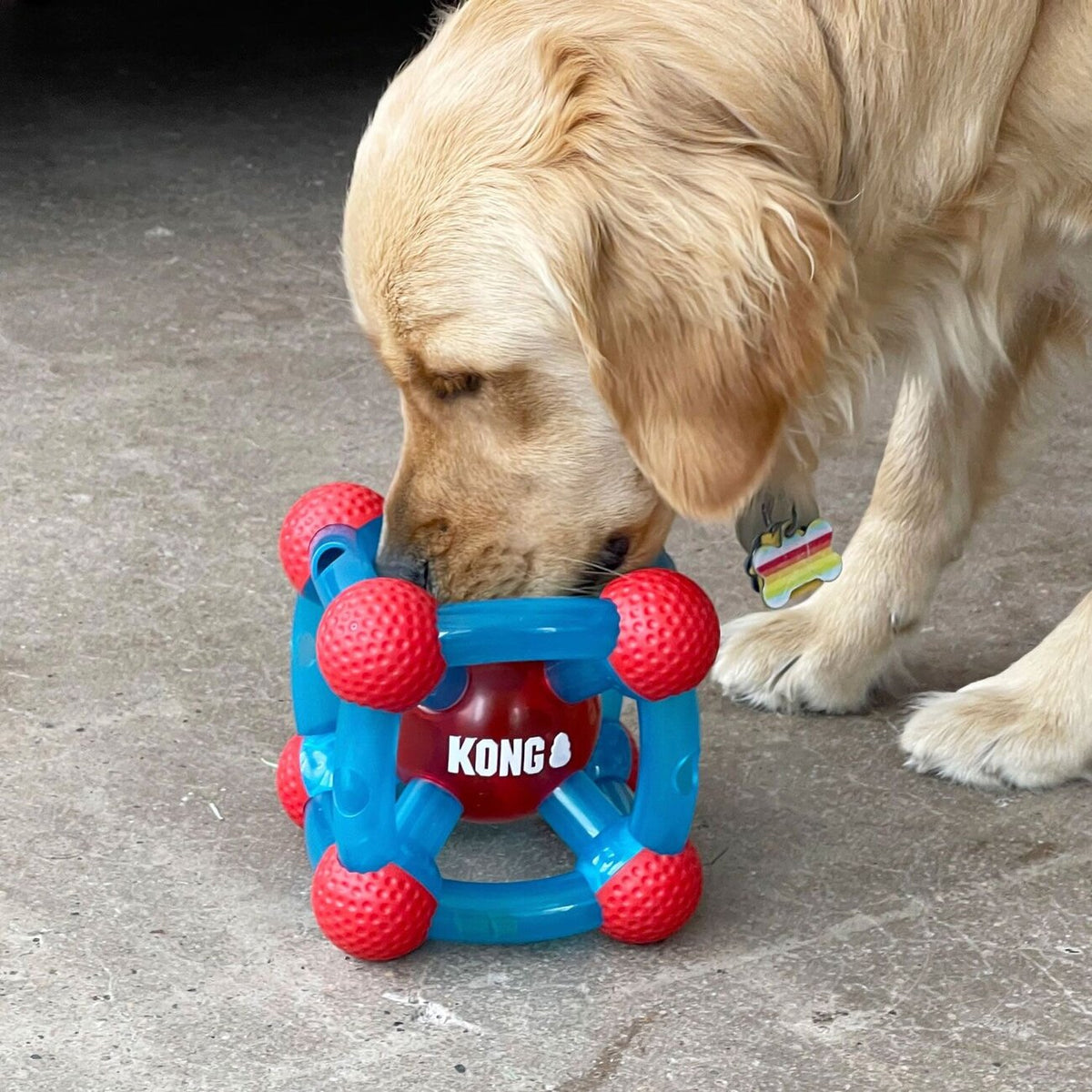 Hundespielzeug Rewards Tinker