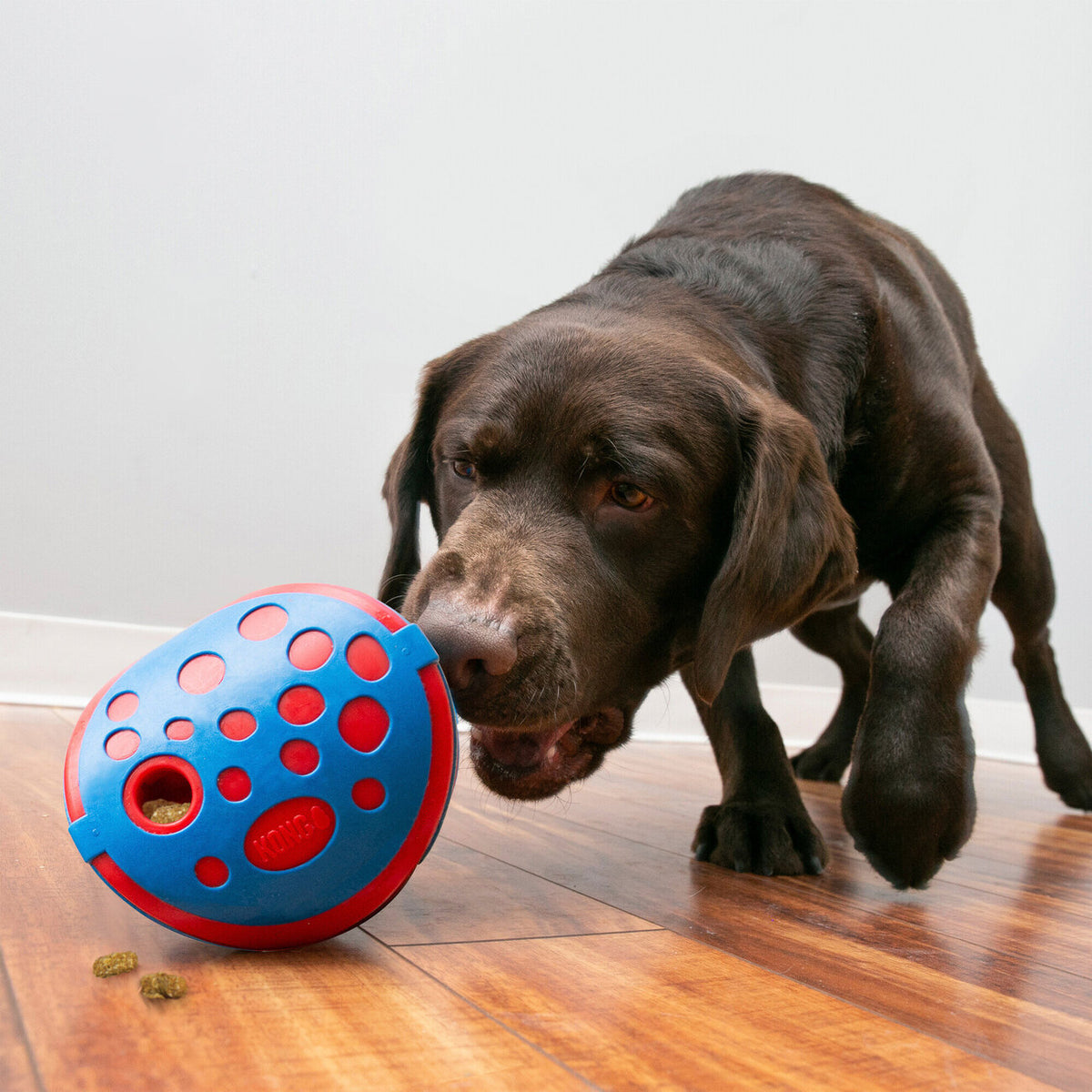Rewards Wally Hundespielzeug