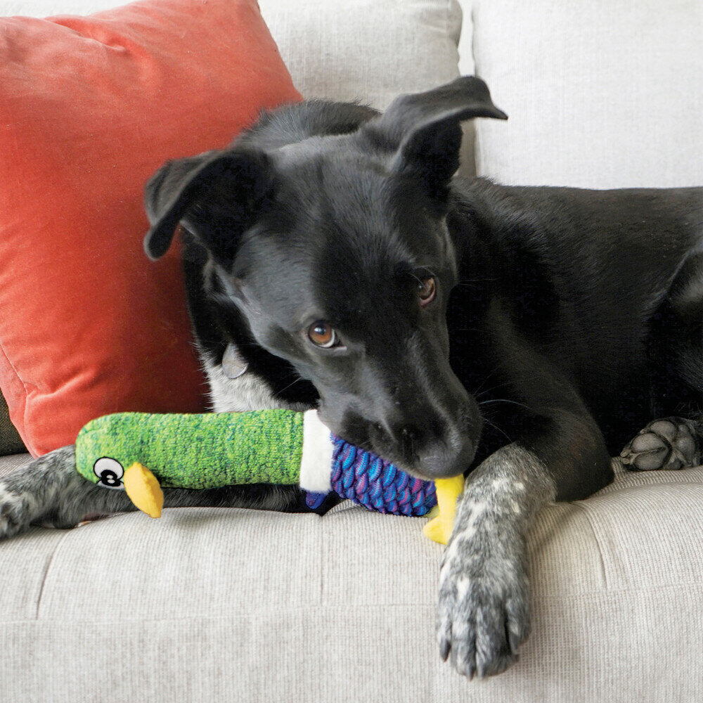 Robustes Hundespielzeug Shakers Cuckoos
