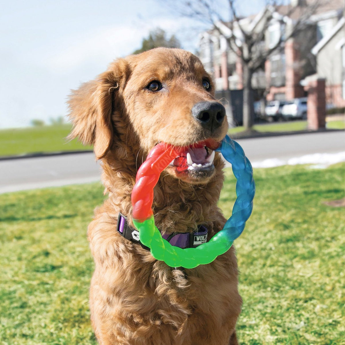 Twistz Hundespielzeug