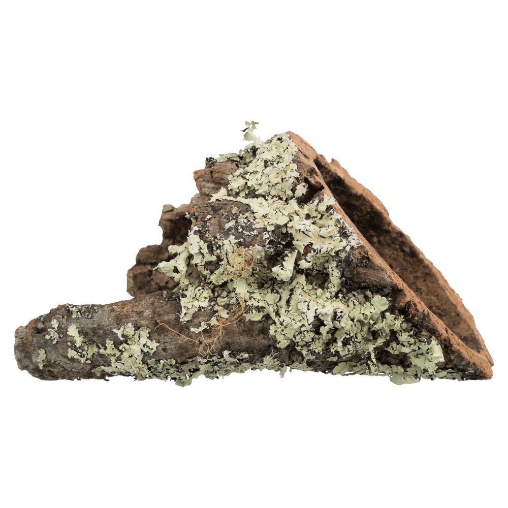 Korkröhren für Terrarien und Nager – L: bis zu ø 19/55 cm