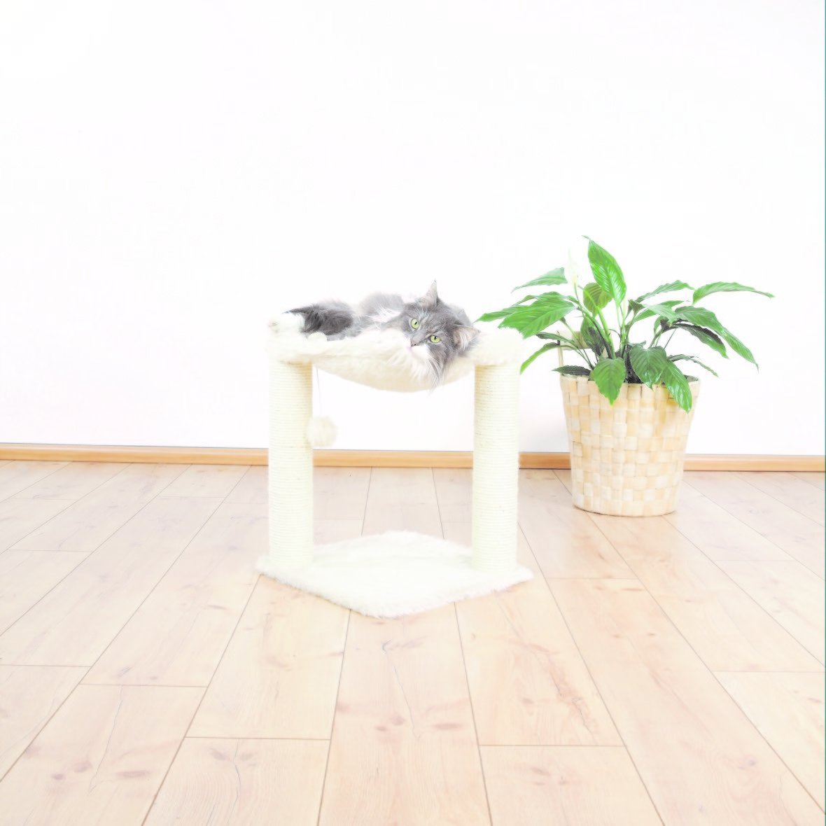 Sisal Kratzbaum Baza mit Plüsch