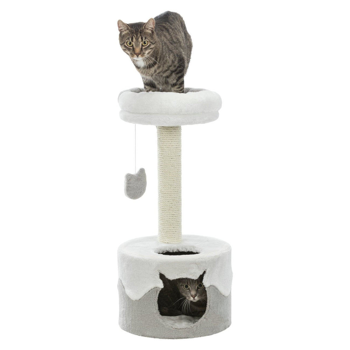 Kratzbaum Nuria