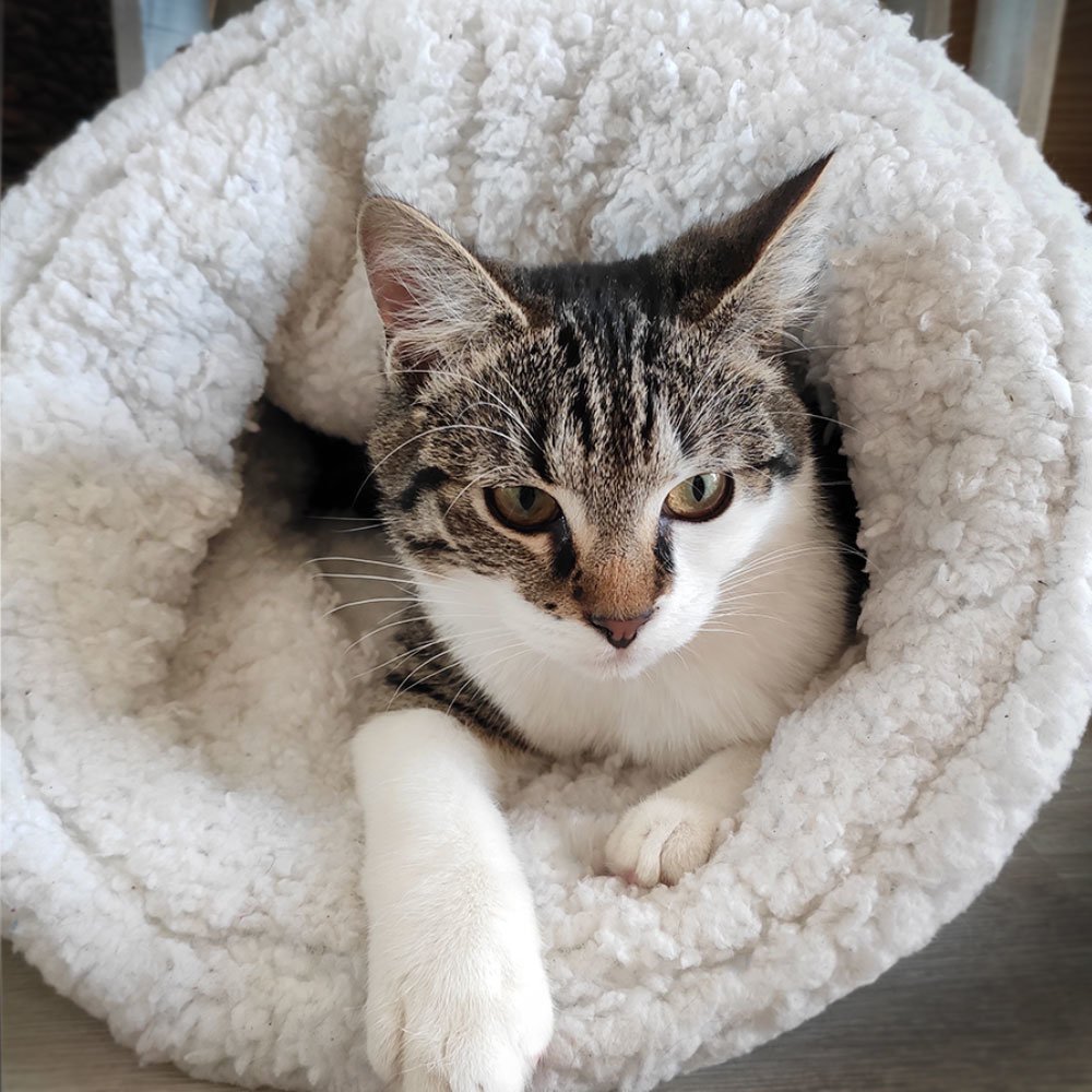 Kuschelsack Paul