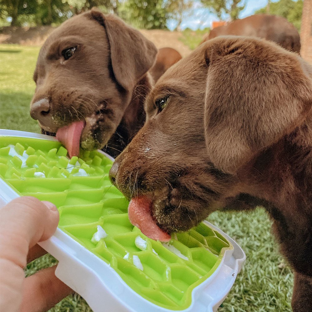 Lick’n'Snack Schleckplatte für Hunde