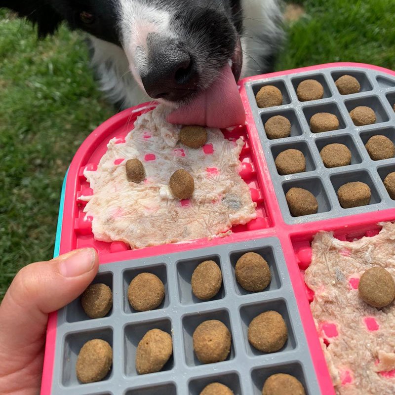 Slomo Kombi-Schleckmatte für Hunde