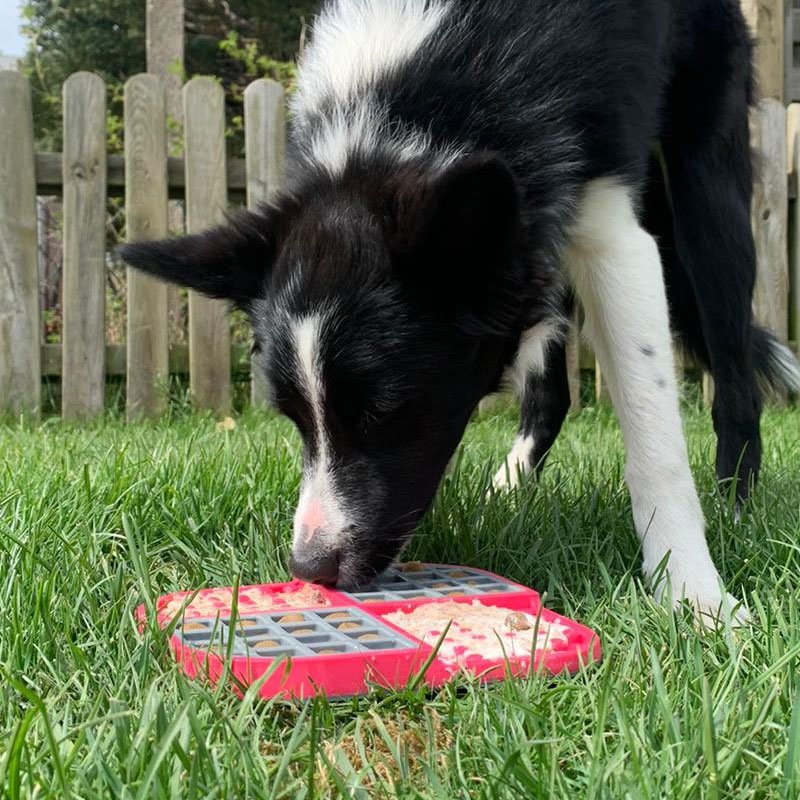 Slomo Kombi-Schleckmatte für Hunde