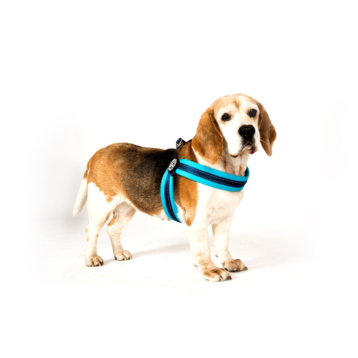 Max & Molly Matrix Q-Fit Geschirr für Hunde