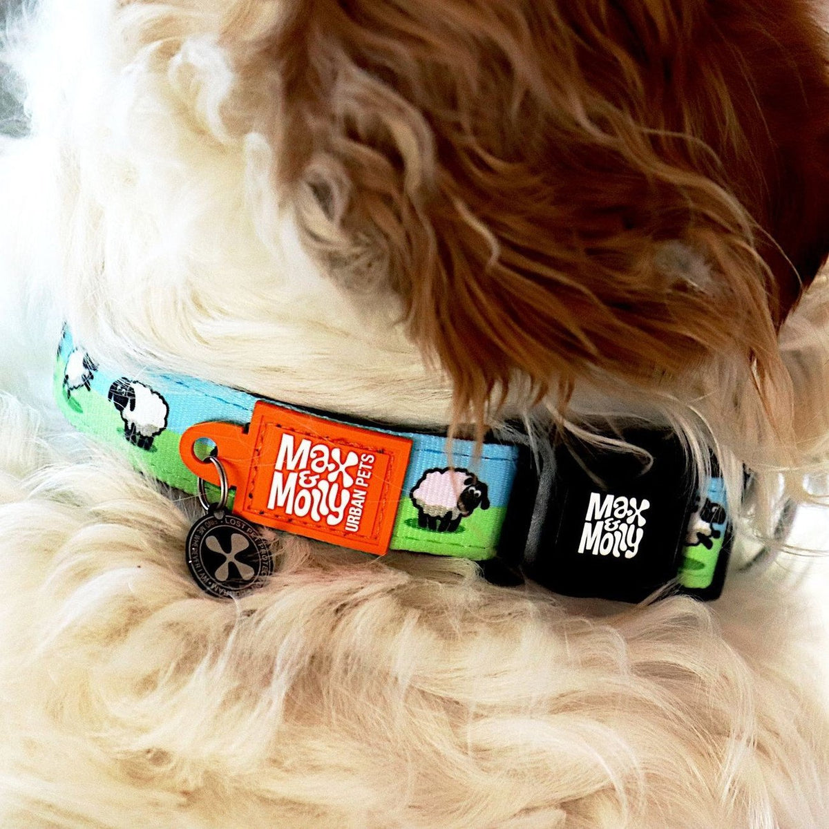 Smart ID Halsband Black Sheep