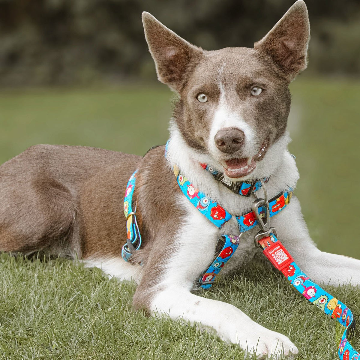 Max & Molly Smart ID Hundehalsband Little Monsters