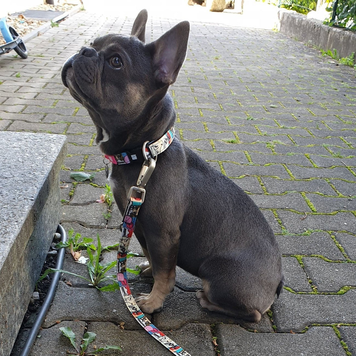 Max & Molly Smart ID Hundehalsband Missy Pop