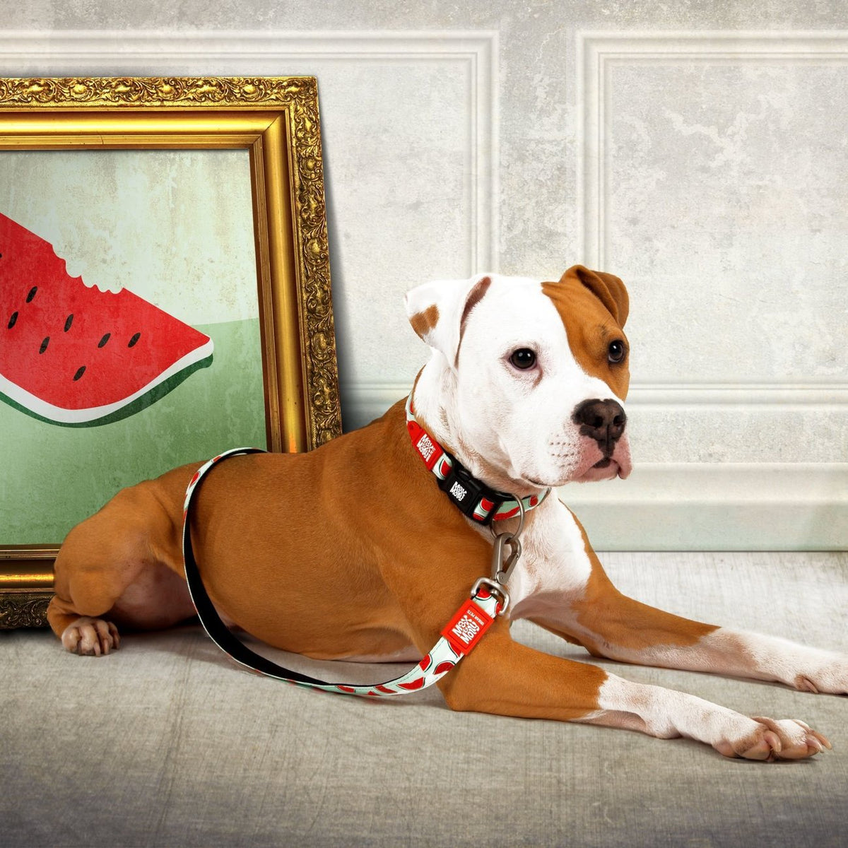 Max & Molly Smart ID Hundehalsband Watermelon