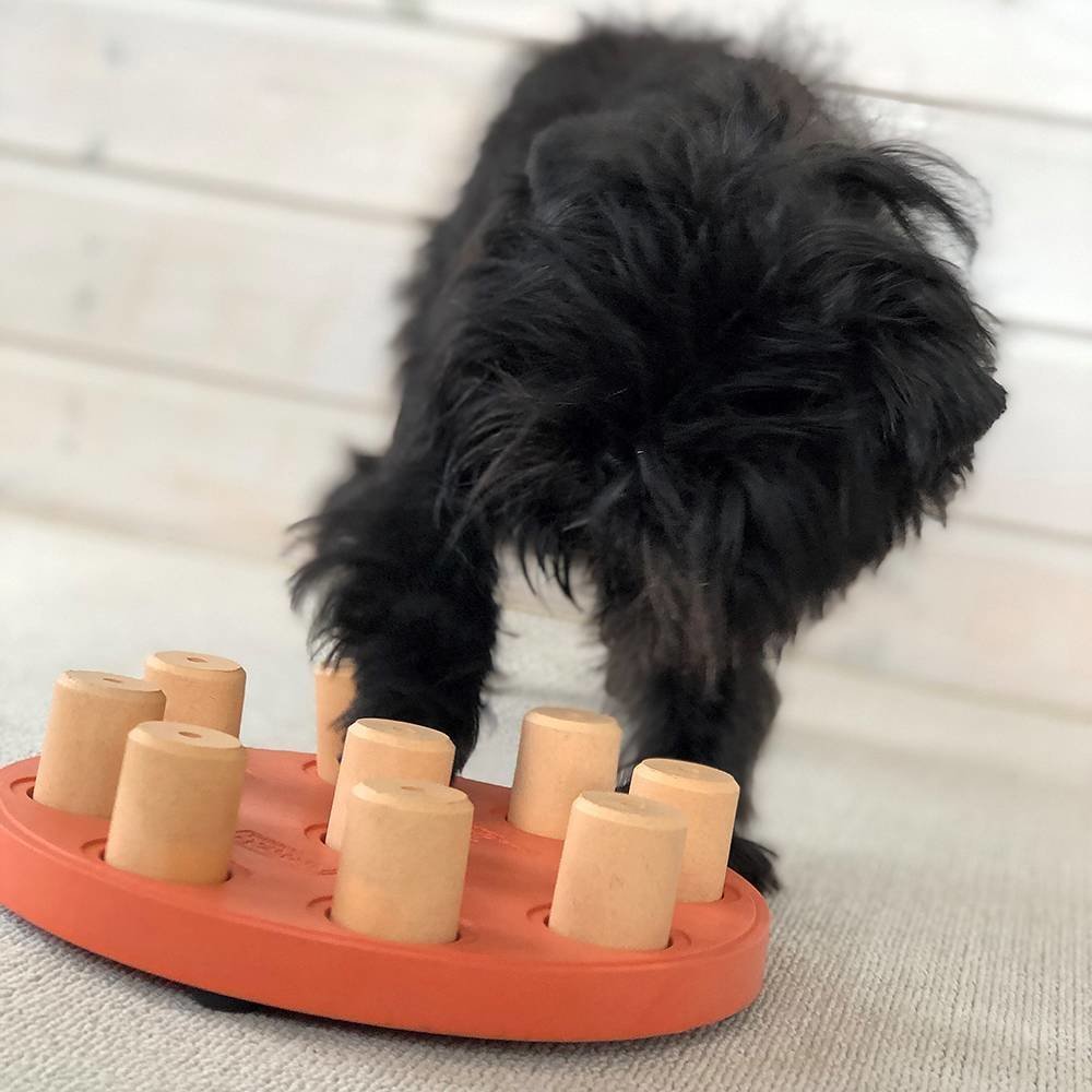 Nina Ottosson Dog Smart Hunde Solitär