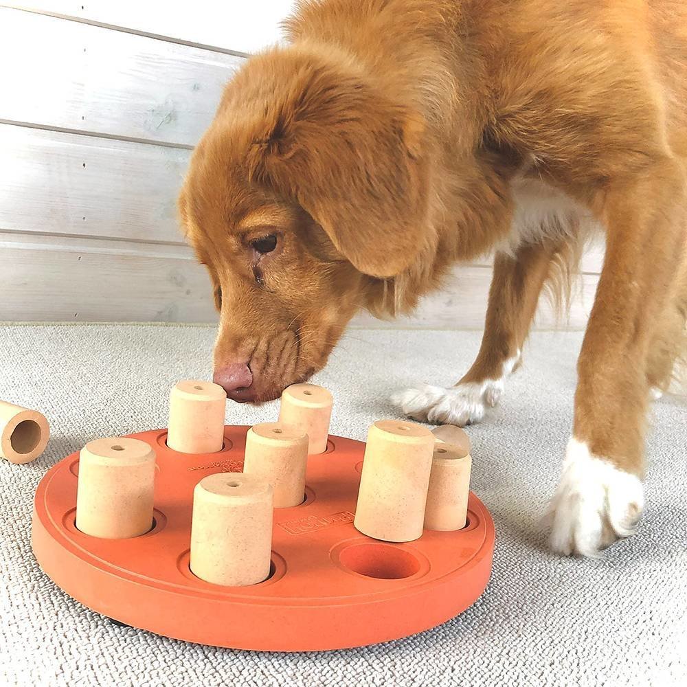 Nina Ottosson Dog Smart Hunde Solitär