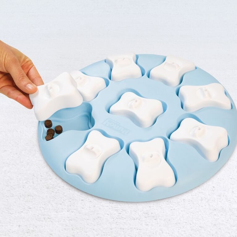 Puppy Smart Welpen Intelligenzspielzeug