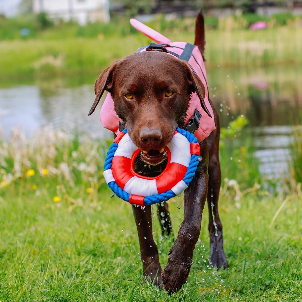 Hunde Schwimmweste Sharki mit Haifischflossen