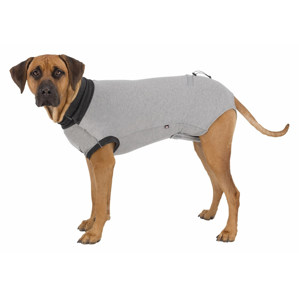 OP-Body für Hunde