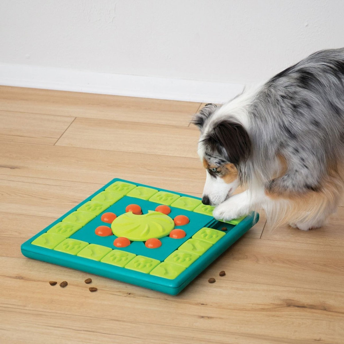 Multi Puzzle Intelligenzspielzeug