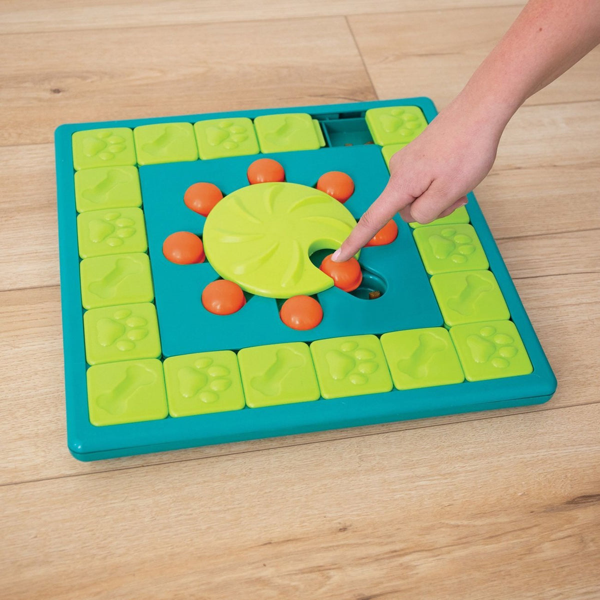 Multi Puzzle Intelligenzspielzeug