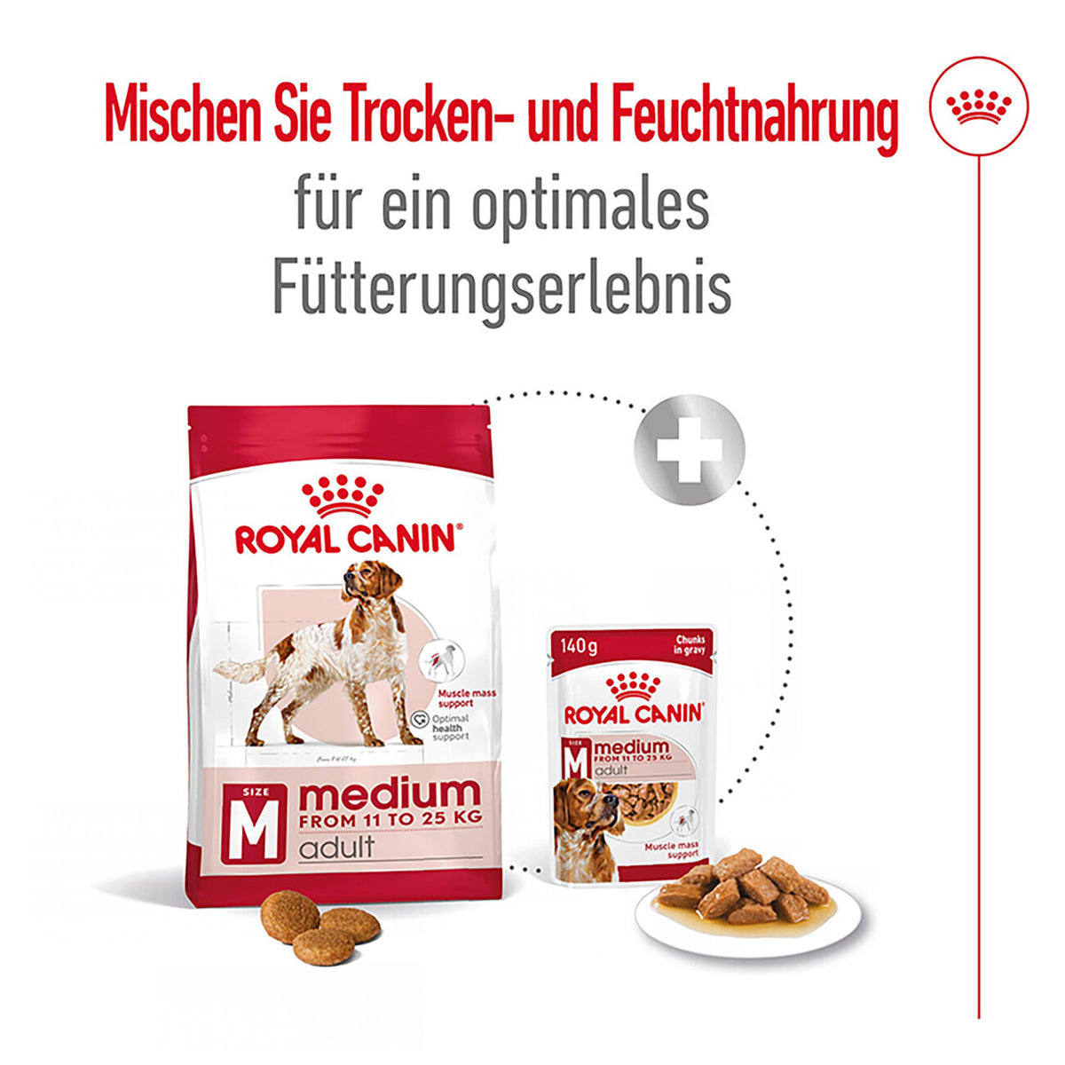 Royal Canin Medium Adult Trockenfutter für mittelgroße Hunde