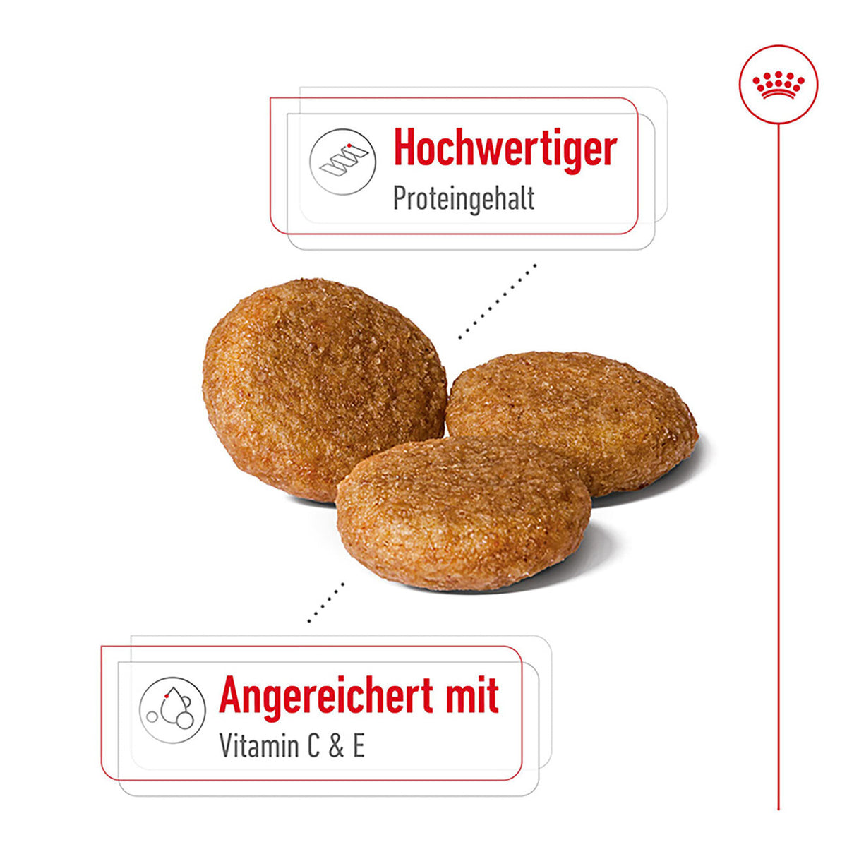 Royal Canin Medium Adult Trockenfutter für mittelgroße Hunde