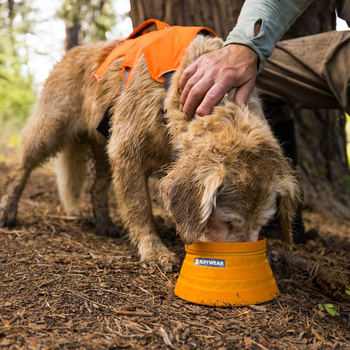 Bivy Bowl Reisenapf für Hunde