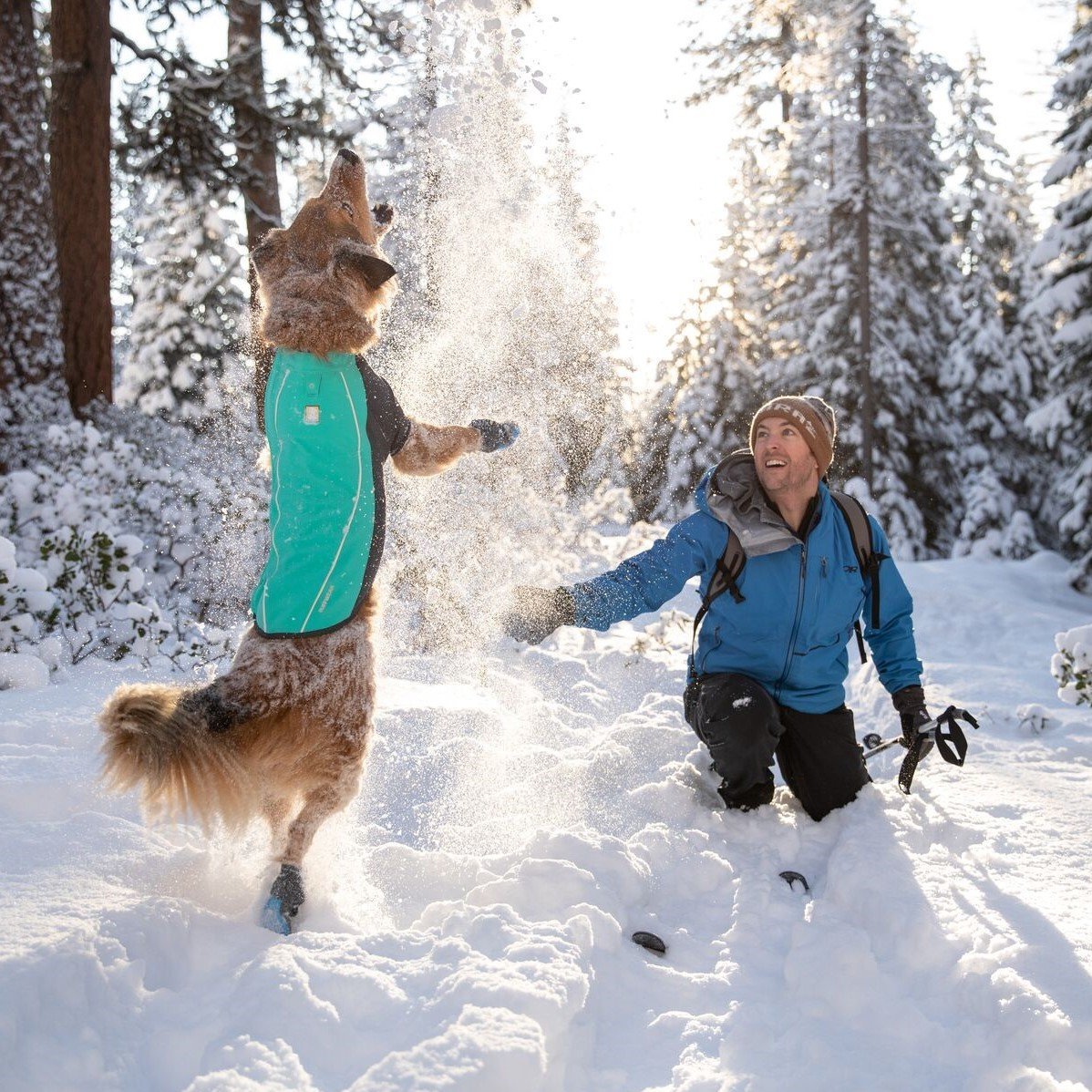 Ruffwear Cloud Chase Soft Shell Jacke für Hunde