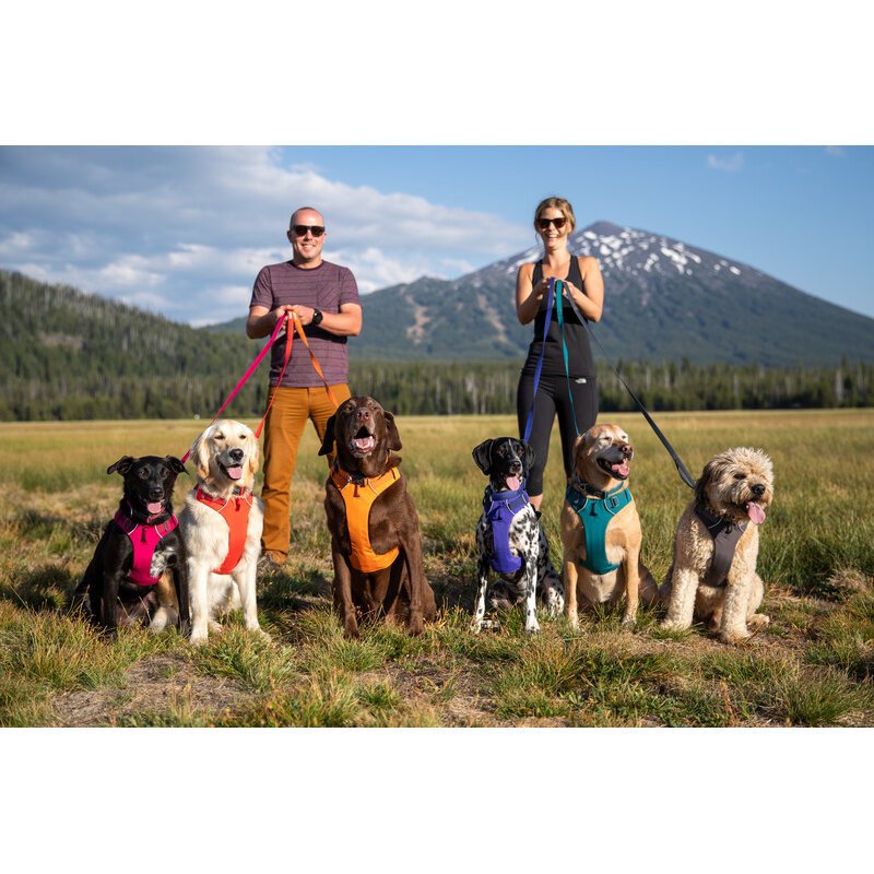 Front Range Harness Hundegeschirr 2.0