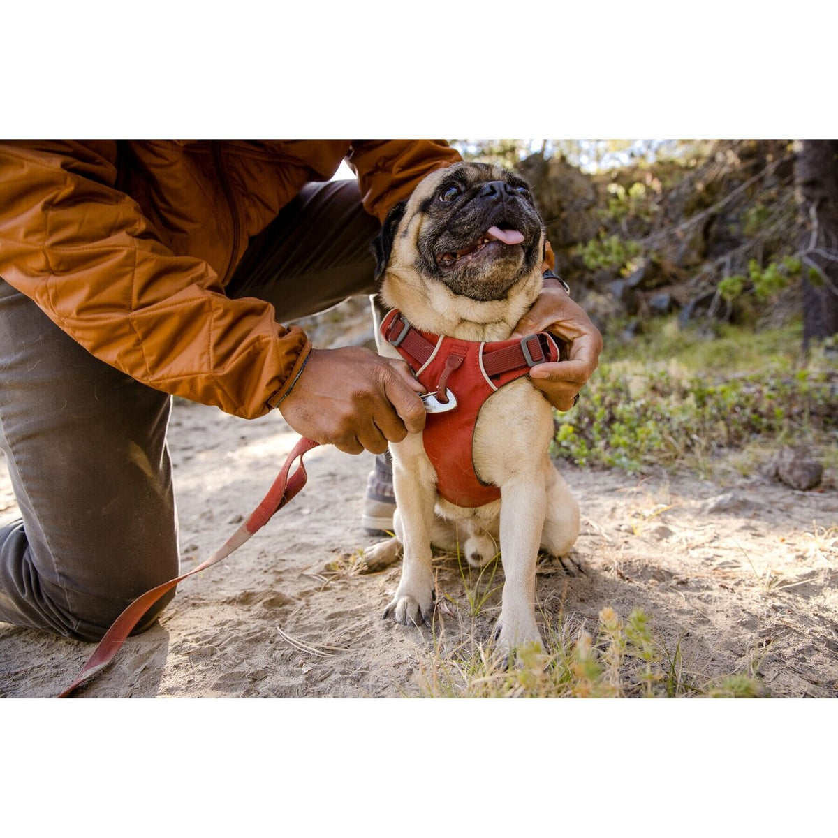 Front Range Harness Hundegeschirr 2.0