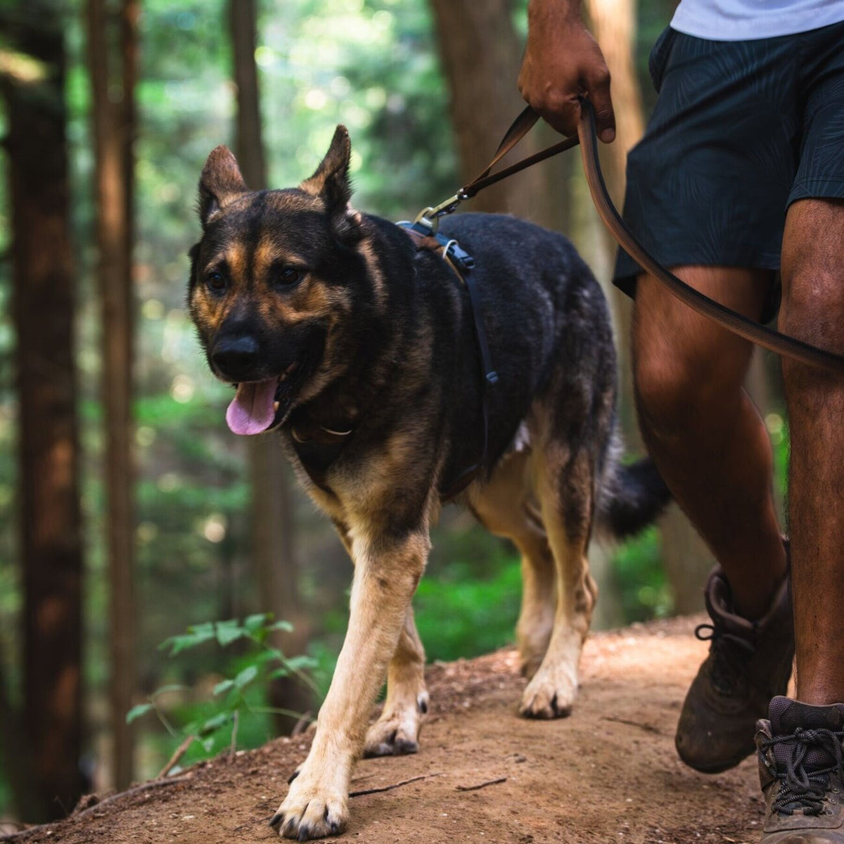 Front Range Harness Hundegeschirr 2.0