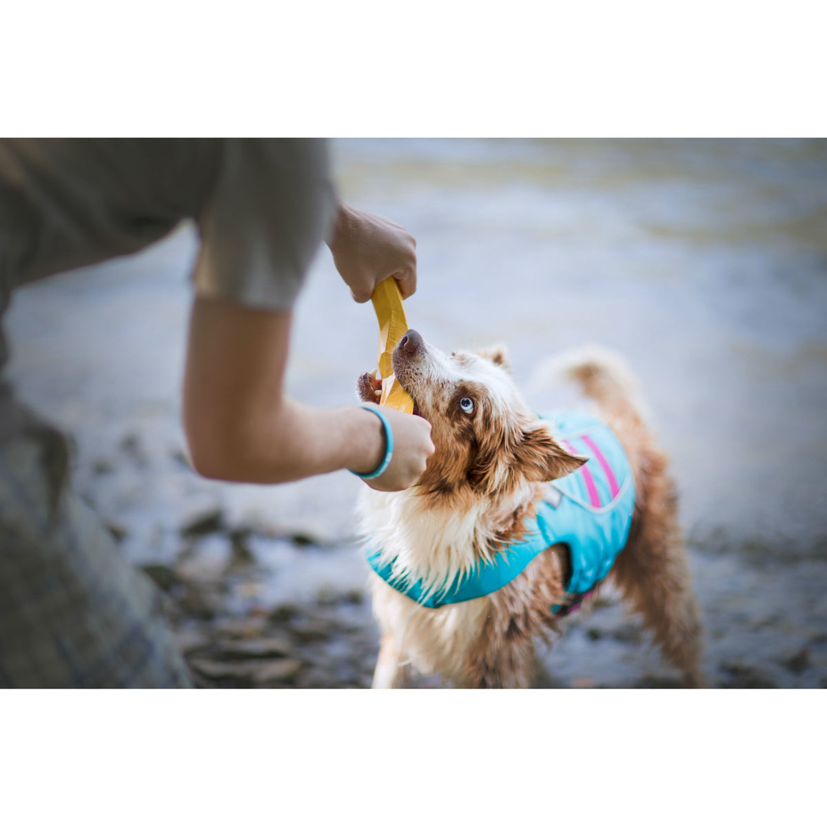 Ruffwear Hundespielzeug Gnawt-a-Stick